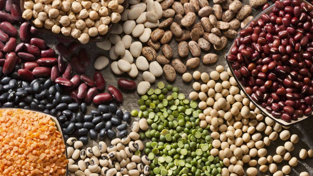 Diets higher in protein, particularly plant protein, linked to lower rates of early&nbsp;death