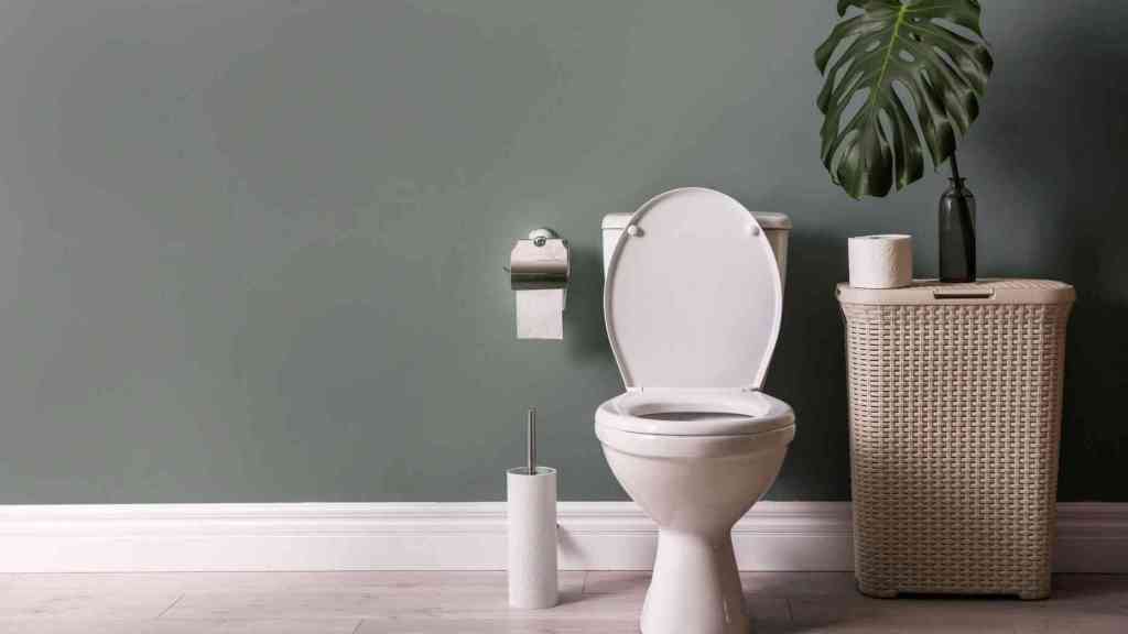 Coronavirus may travel through toilet and&nbsp;pipes