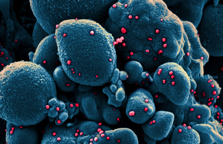 Coronavirus mutation spread across&nbsp;Europe