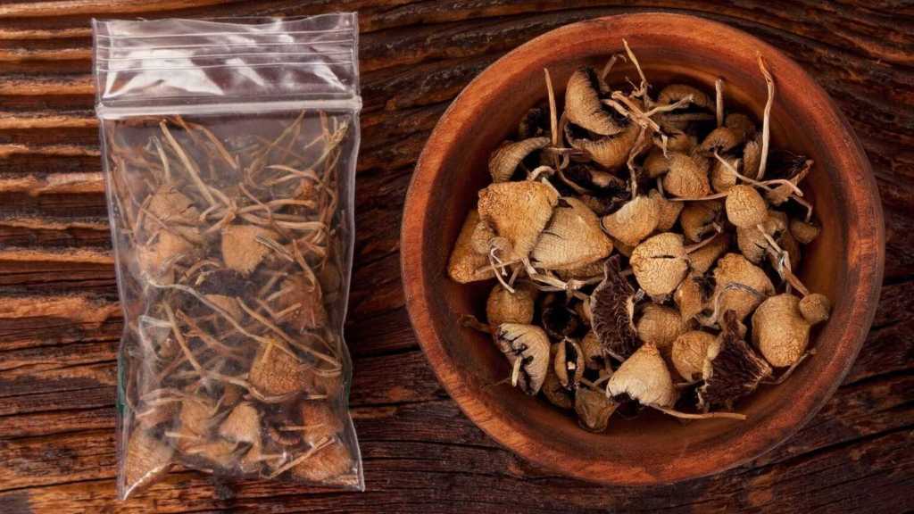 Magic mushrooms could help treat&nbsp;depression