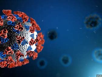 New variants raise worry about COVID-19 virus reinfections