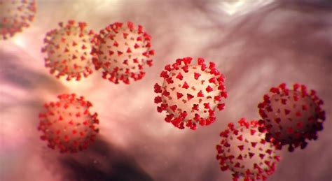 What is the new delta plus variant?