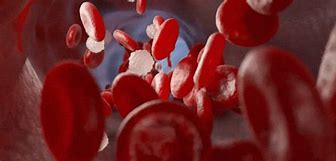 Dementia signs are in the&nbsp;blood