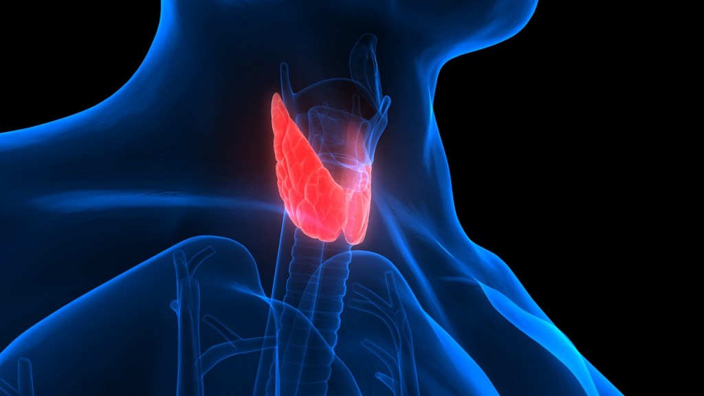 Thyroid cancer: What to know, according to&nbsp;experts